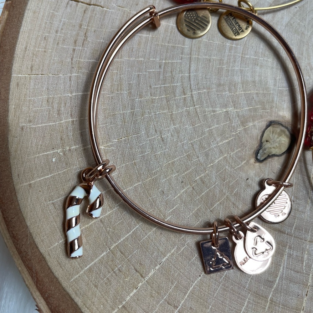 Red Alex And Ani Bracelet Bundle - Picture 5 of 5